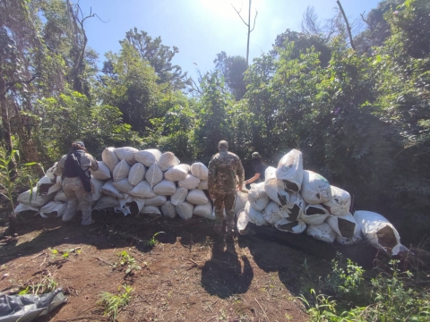 SENAD afecta producción de droga a estructuras criminales del sur del país