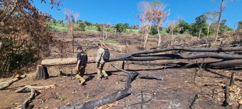 SENAD inicia plan de restauración de bosques afectados por el narcotráfico