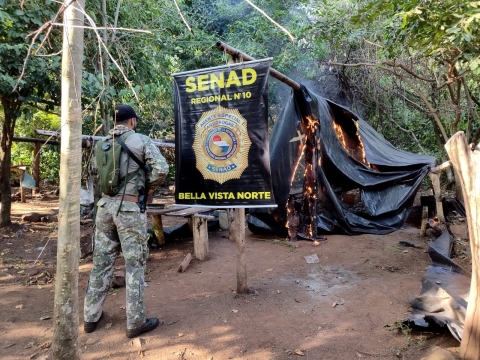 SENAD elimina 12 toneladas de droga en Bella Vista Norte