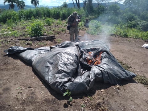 SENAD anuló 10 toneladas de marihuana, campamentos y depósitos narcos en Cerro Sarambí