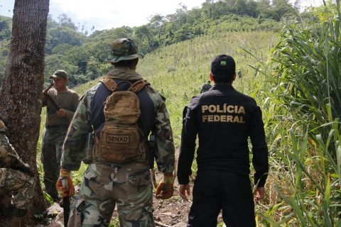 Operaciones entre Paraguay y Brasil generaron pérdidas superiores a 510 millones de dólares al narcotráfico