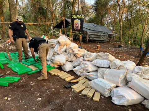SENAD anuló más de 5 toneladas de marihuana y campamentos narcos en Amambay
